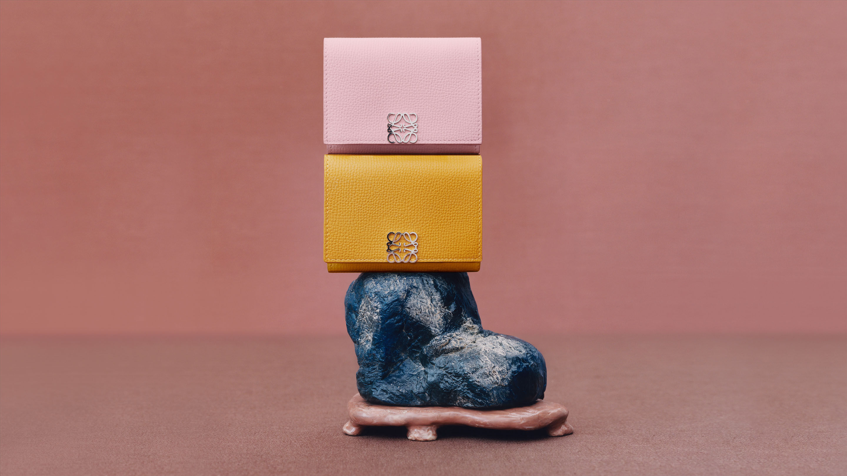 Loewe small shop leather goods